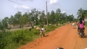 Sur la route de Ketonou